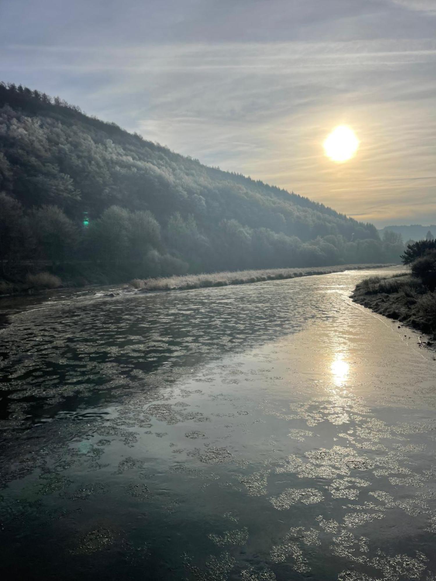 La Petite Passerelle à Mouzaive Vresse-sur-Semois Extérieur photo